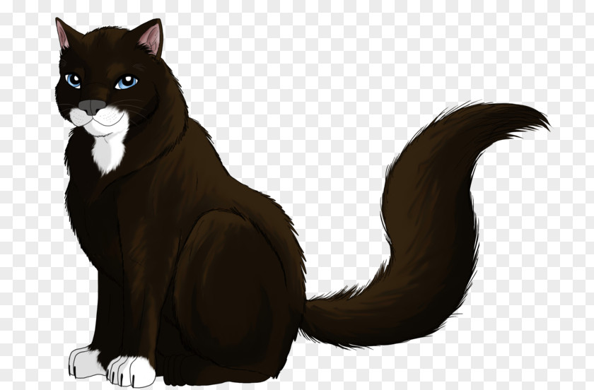 Cat Whiskers Fur Character Puma PNG