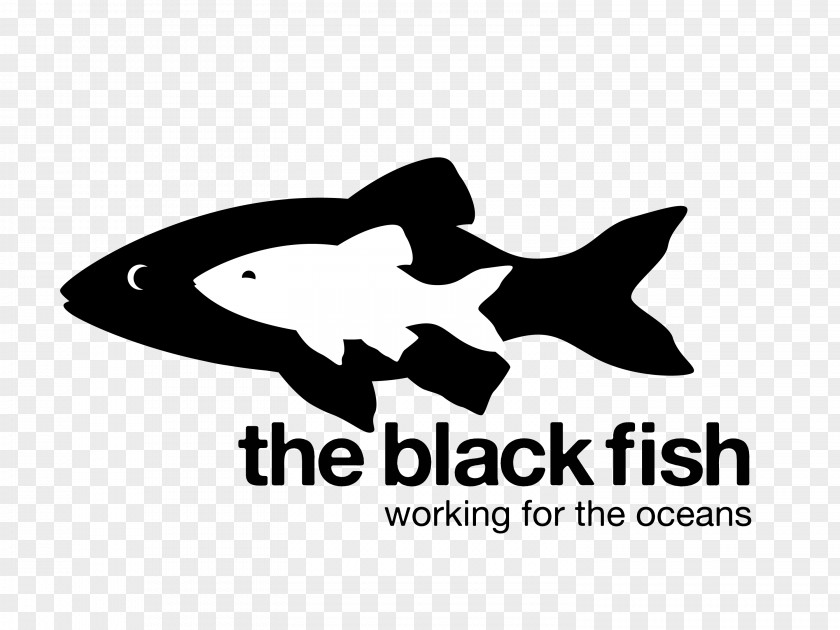 Fish Takeaway The Black Overfishing Marine Conservation Illegal, Unreported And Unregulated Fishing PNG