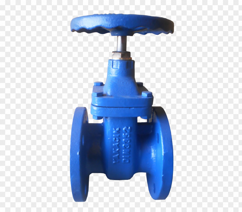 Gate Valve Butterfly Globe Check PNG