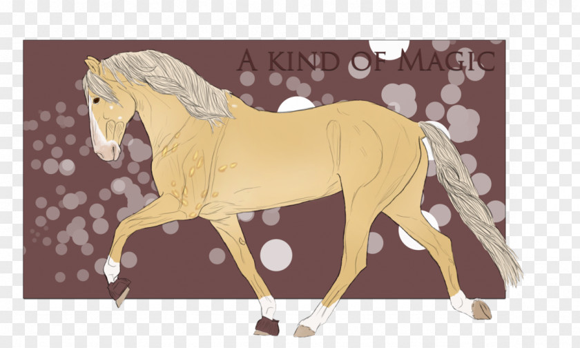 Mustang Stallion Pony Mare Mane PNG
