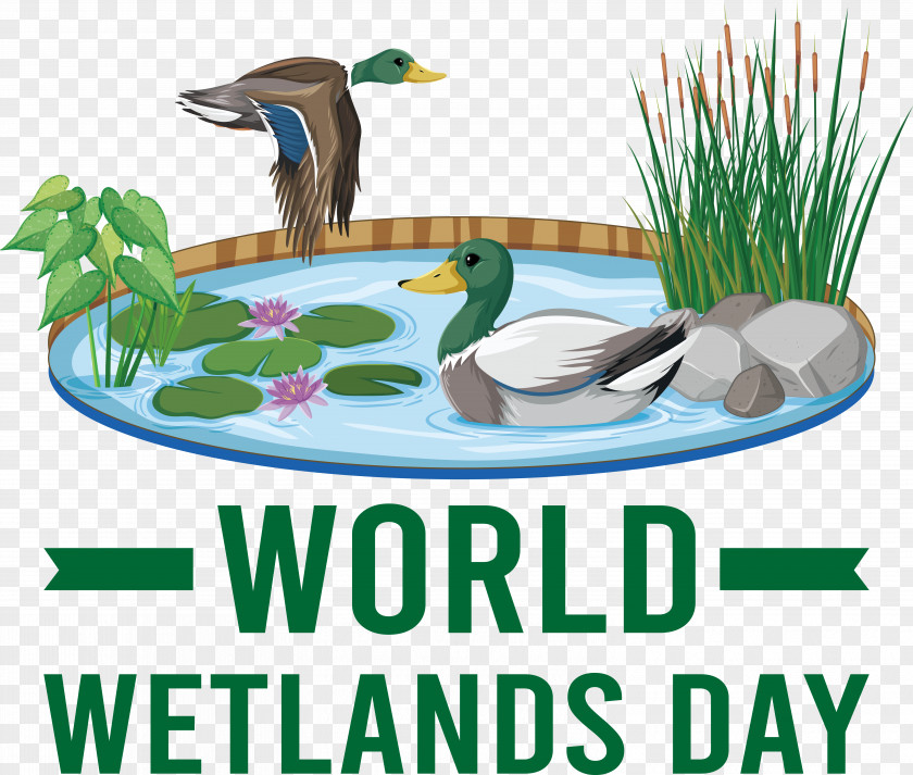 World Wetlands Day PNG