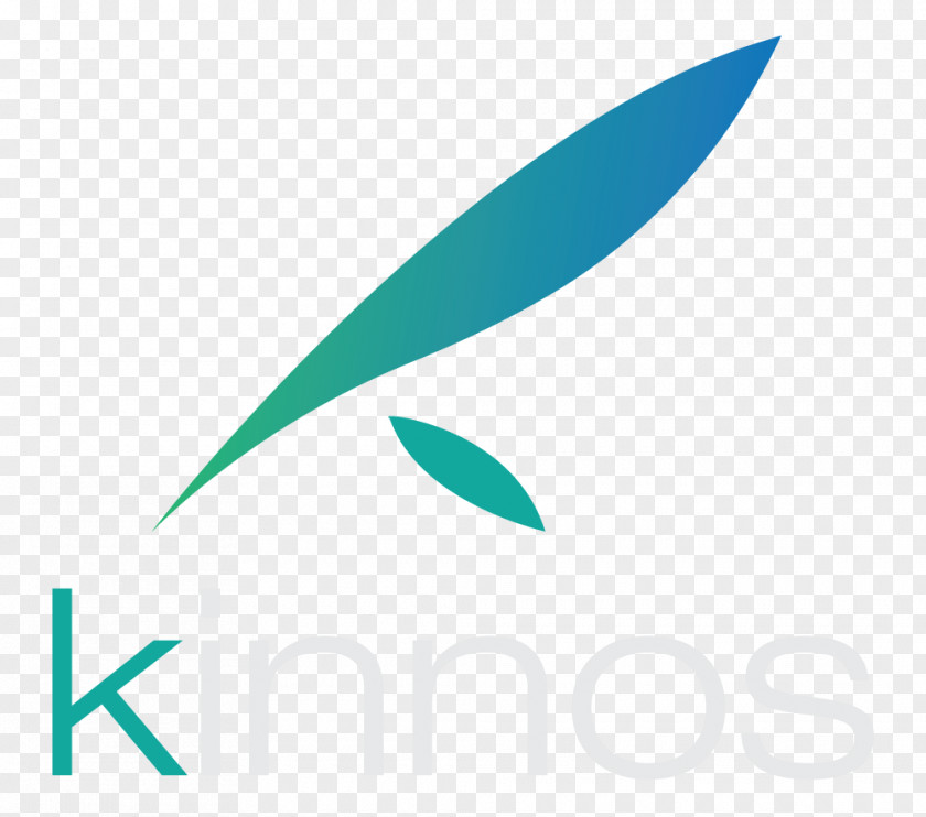 Bleach Kinnos Inc. Company Management LinkedIn PNG