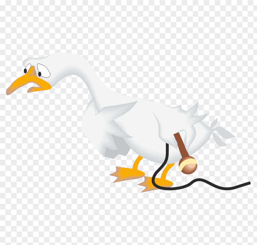 Duck Goose Clip Art Bird Image PNG