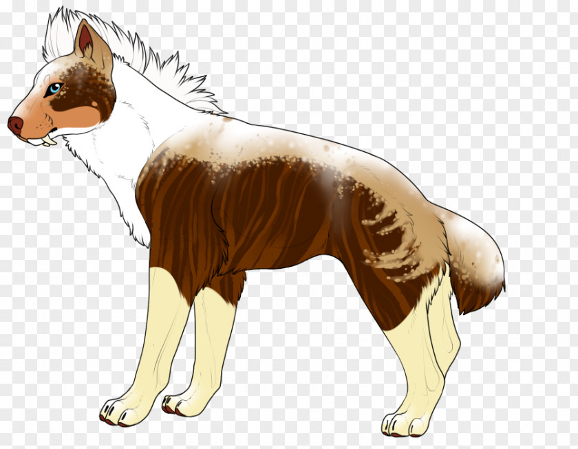 Fur Collar Coat Dog Breed Watercolor Painting Art PNG
