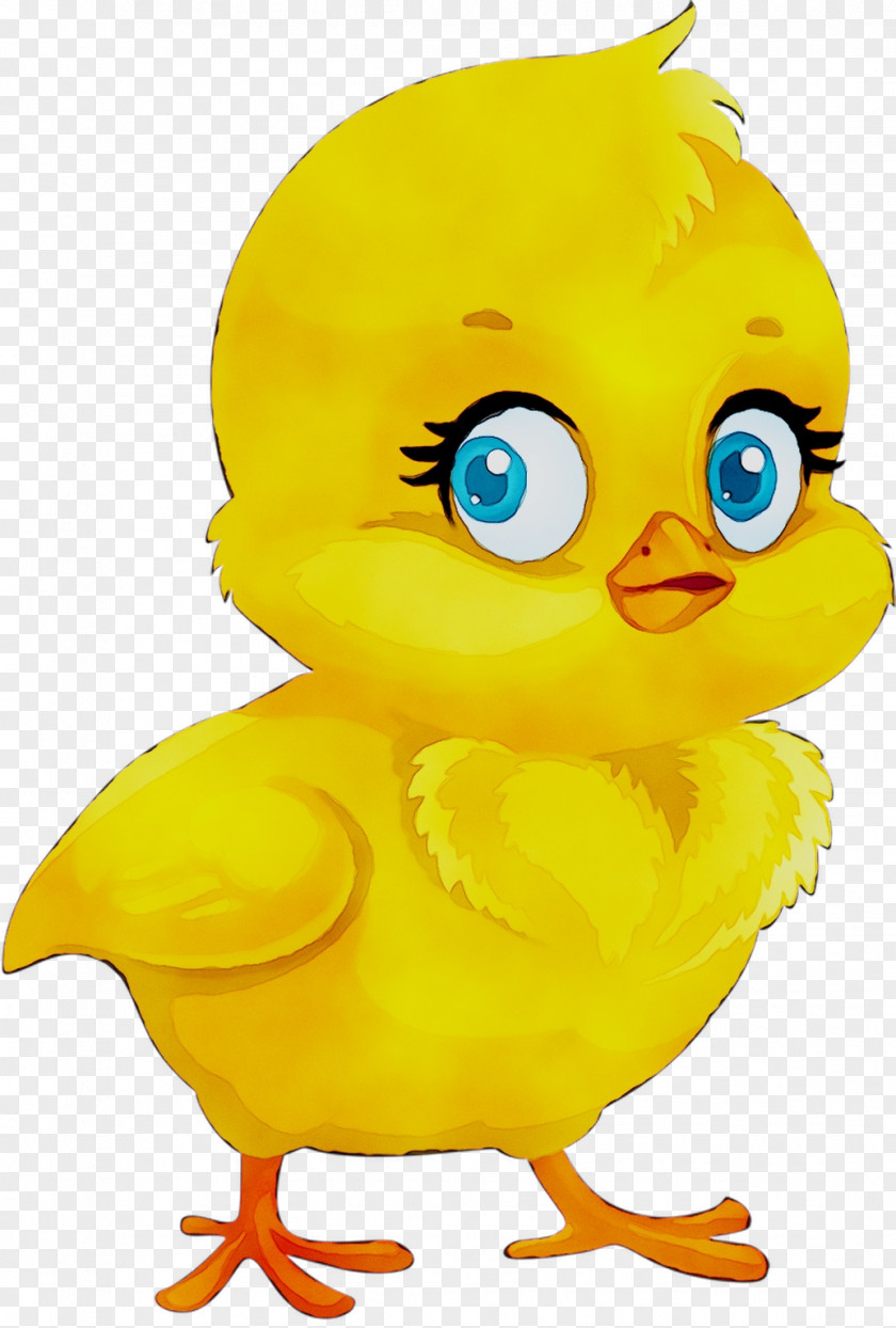Illustration Clip Art Yellow Beak Chicken As Food PNG