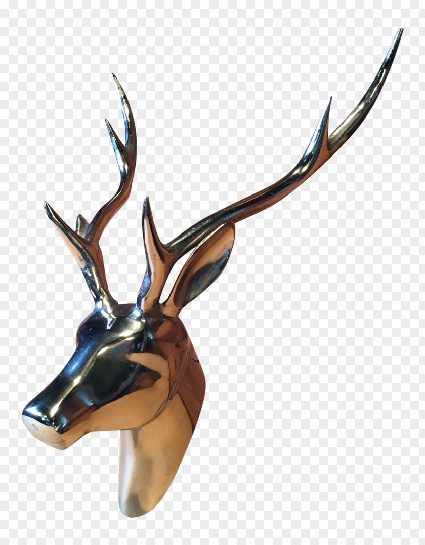 Large Deer Head Antelope Antler Wildlife PNG