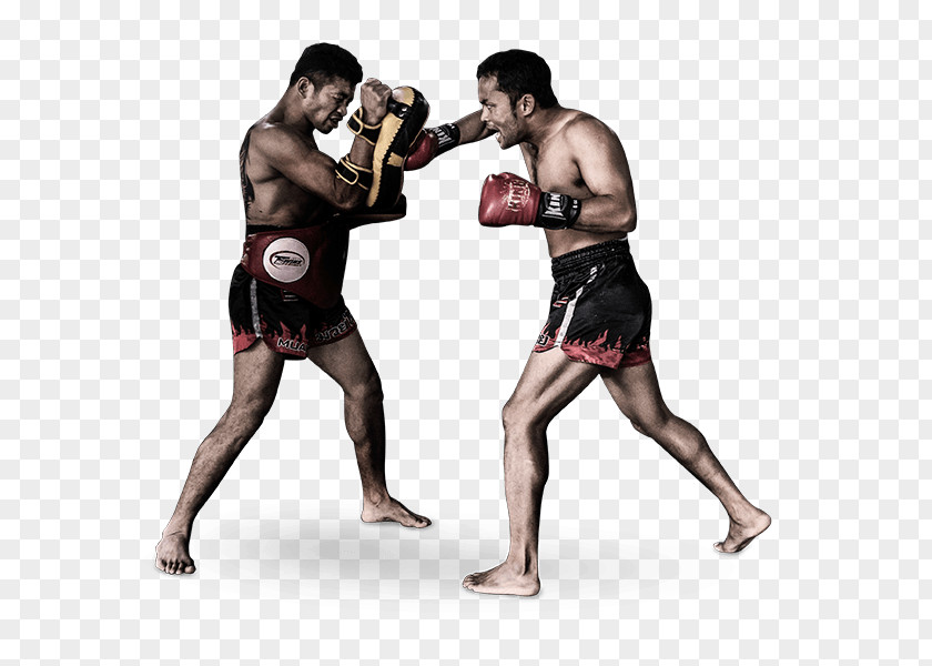 Mma Muay Thai Boxing Glove Mixed Martial Arts Kickboxing PNG