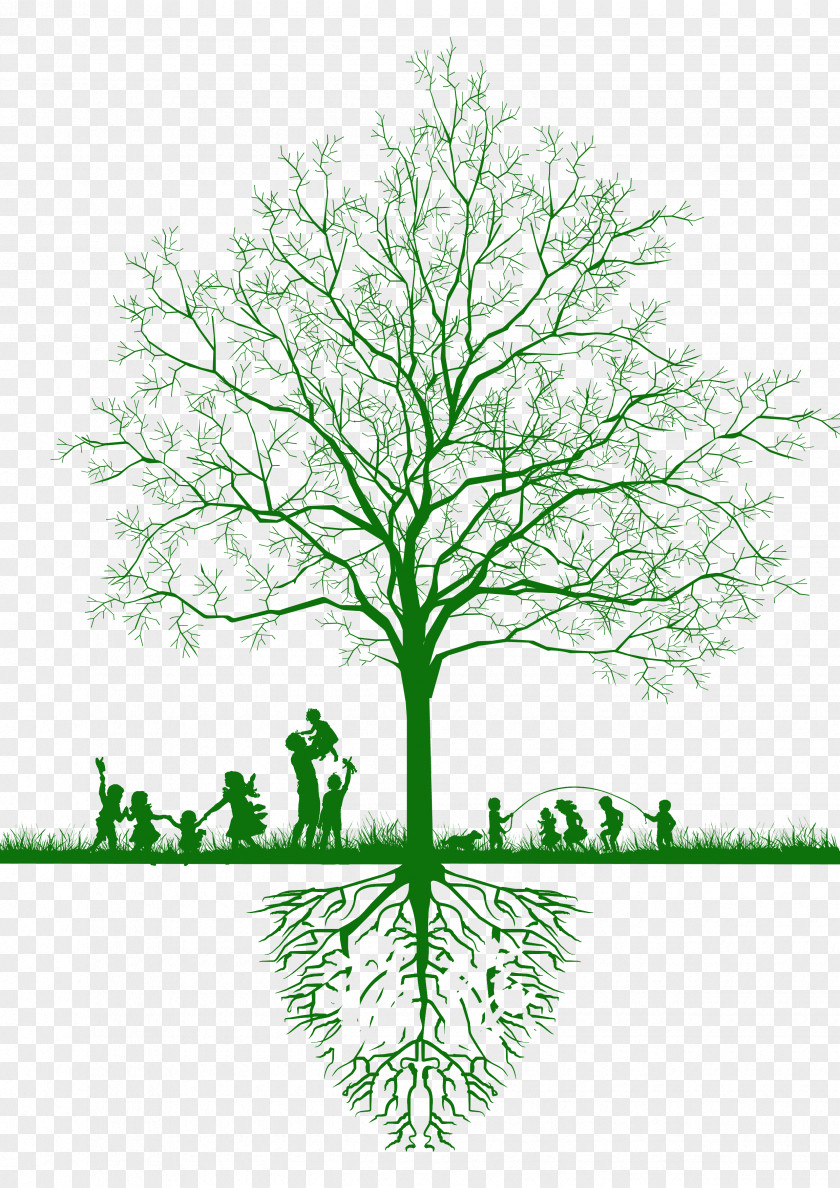 Tree Computer File PNG