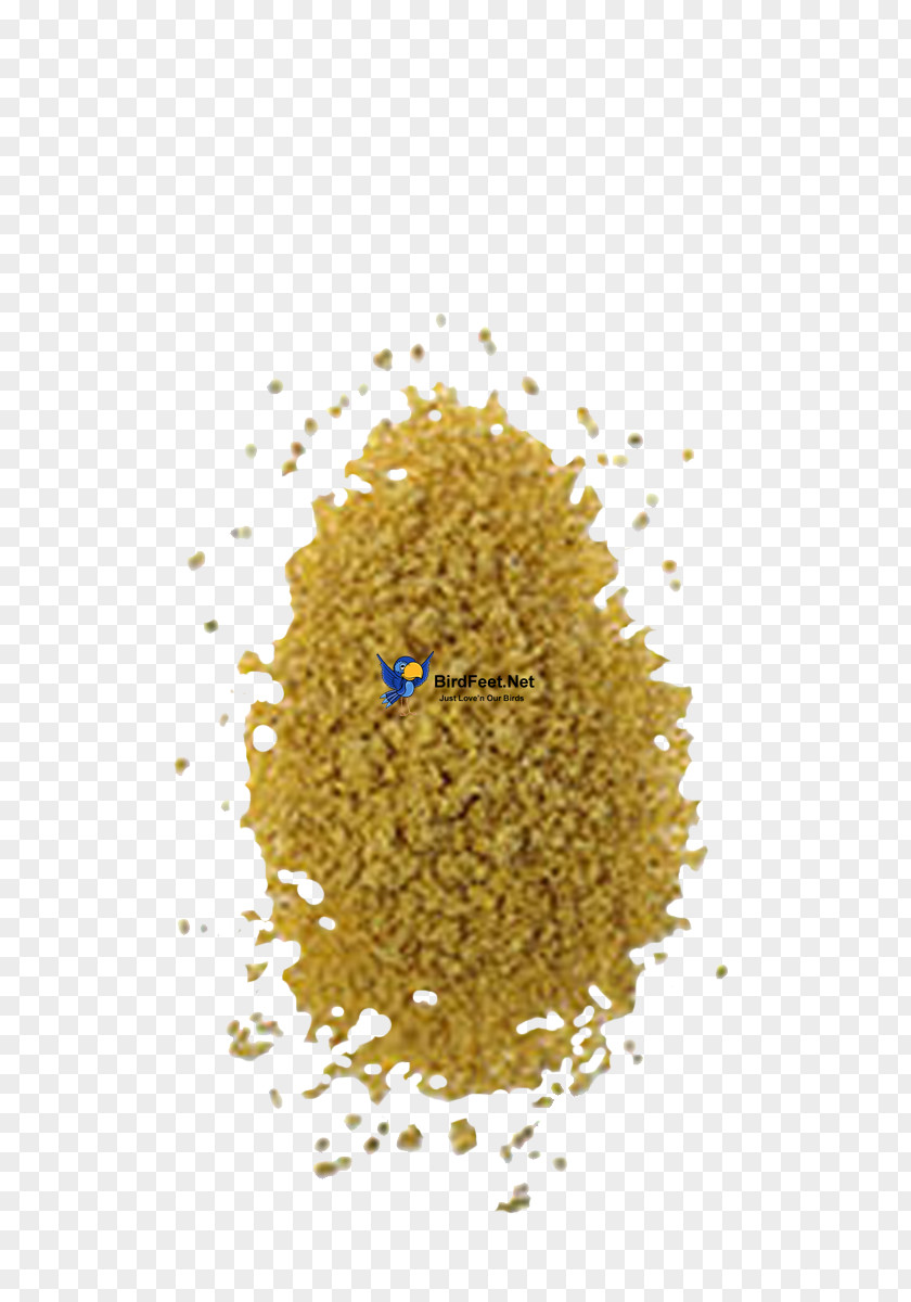 Birds Feeding Birdsville Maize Food Species Bedürfnis PNG