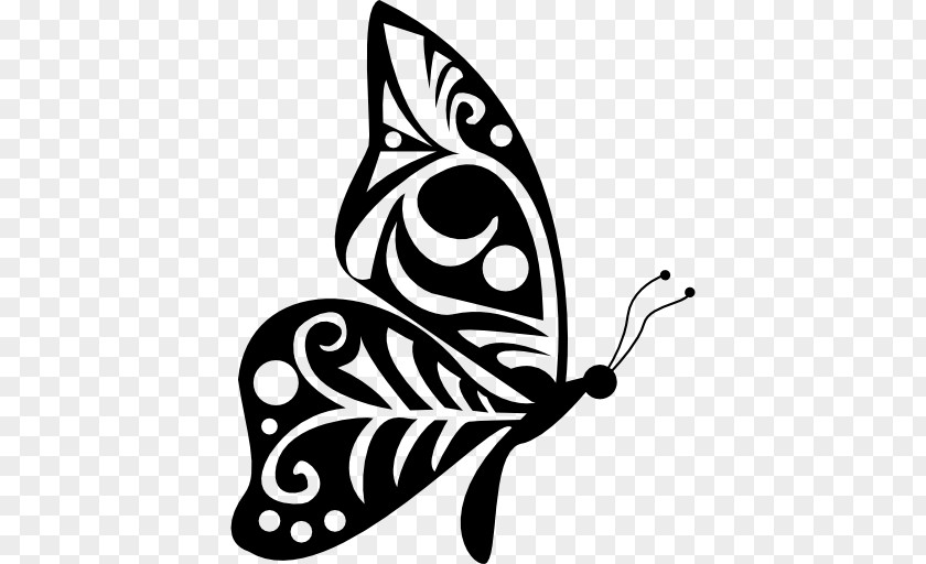 Both Side Design Butterfly Drawing Clip Art PNG