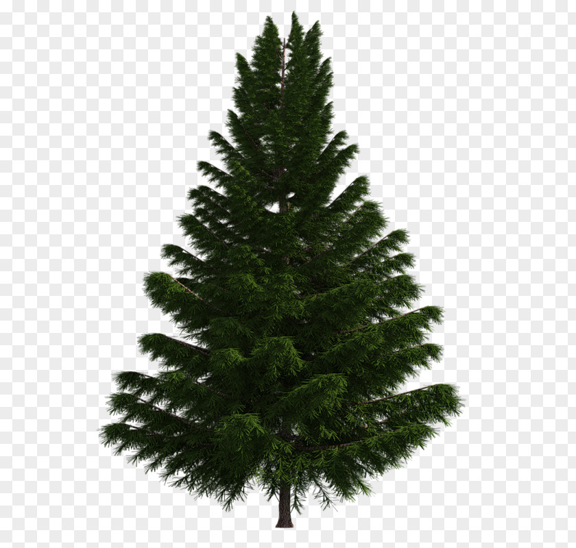 Christmas Tree Artificial Fir PNG