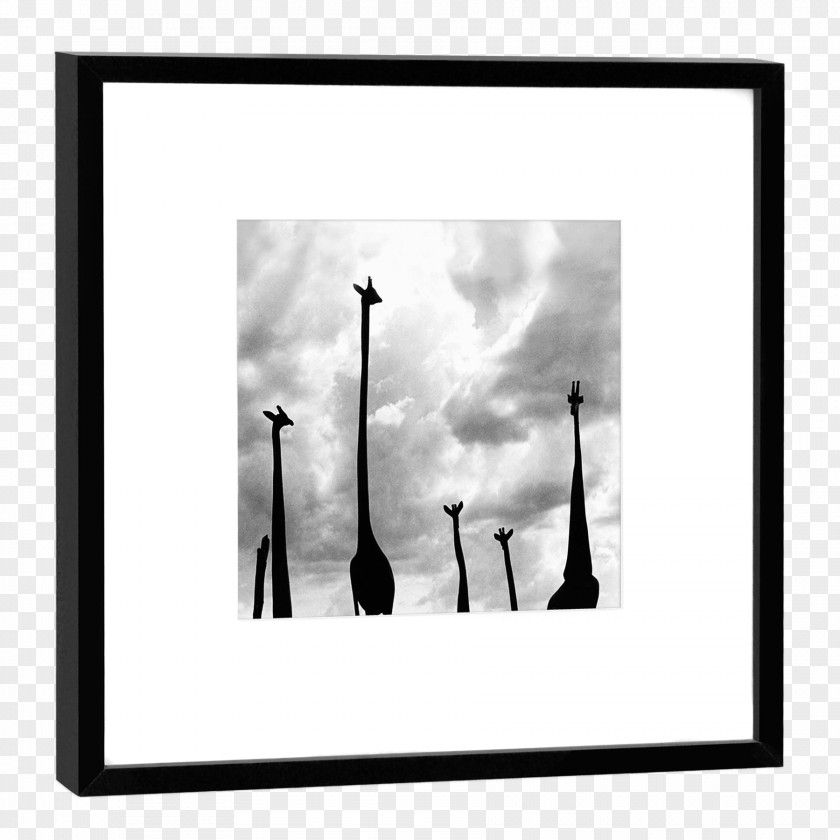 M SilhouetteBilderrahmen Silhouette Photography Picture Frames Black & White PNG