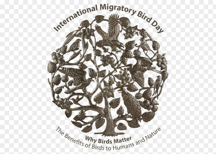 Migratory Bird Day Migration IMDb World PNG