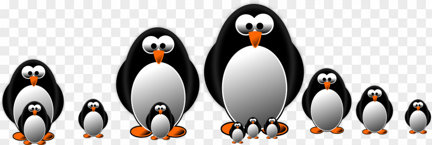 Penguin Little Graphics Clip Art Drawing PNG