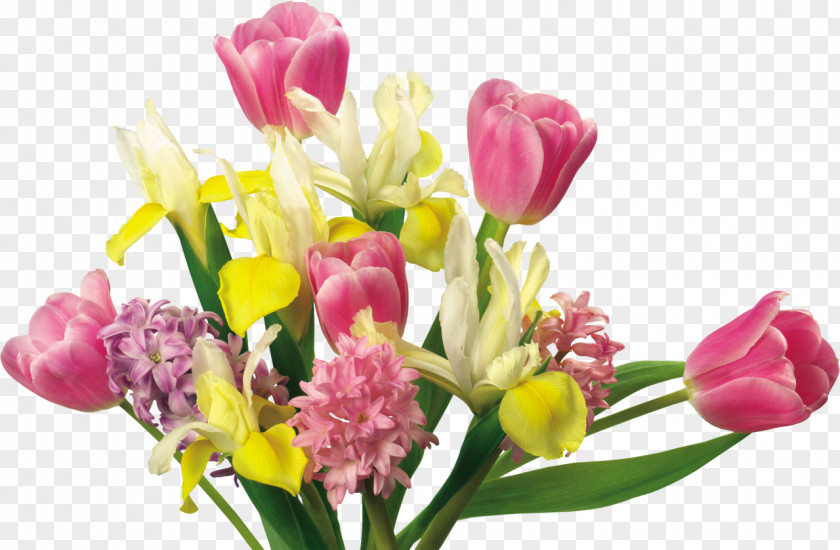 Tulip Flower Bouquet Cut Flowers Petal PNG