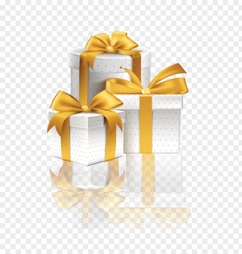 White Gift Box Ribbon Illustration PNG