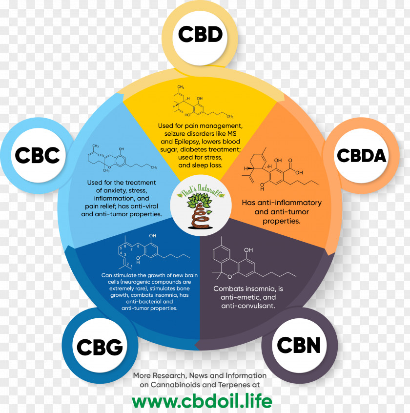 Cannabis Cannabidiol Cannabinoid Entourage Effect Tetrahydrocannabinol PNG