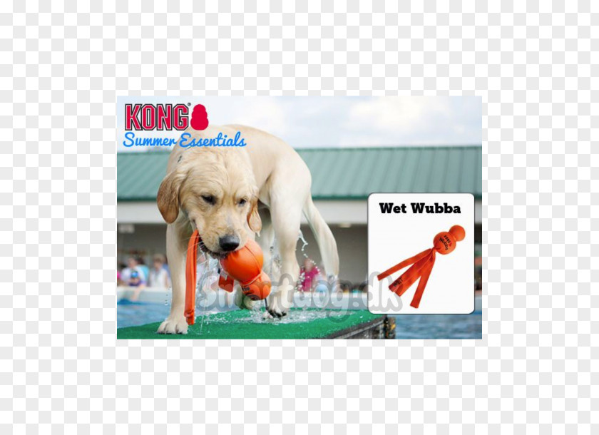 Dog Toys Kong Company Puppy PNG