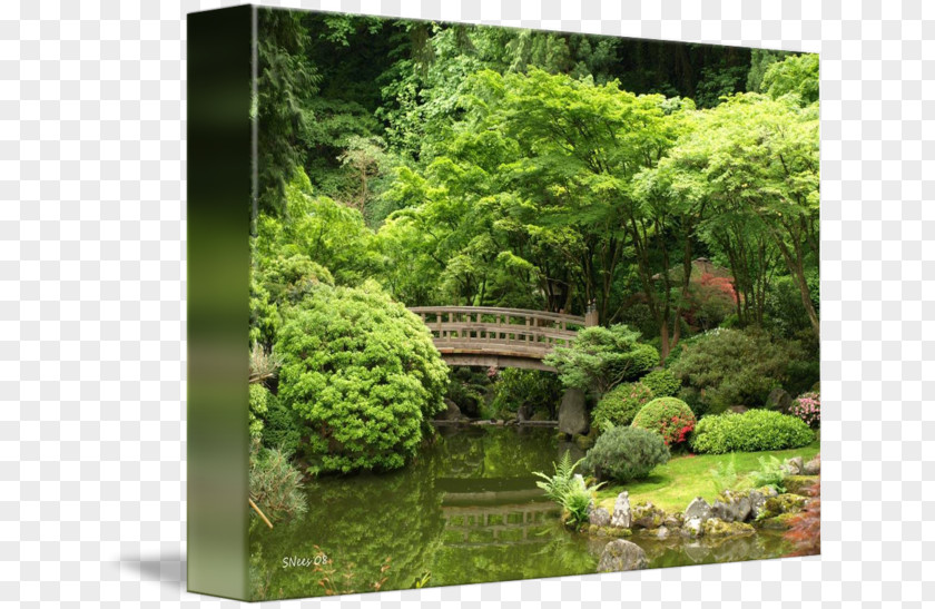 Japanese Landscape Portland Garden Fine Art PNG