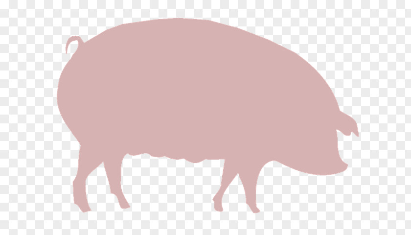 Pig Domestic Agriculture Farm Clip Art PNG