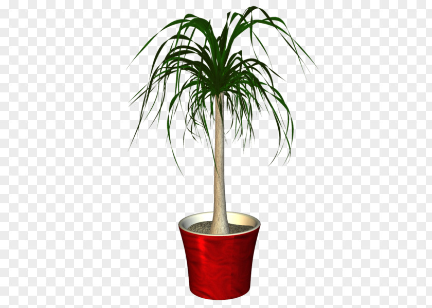 Plant Flowerpot Houseplant Clip Art PNG