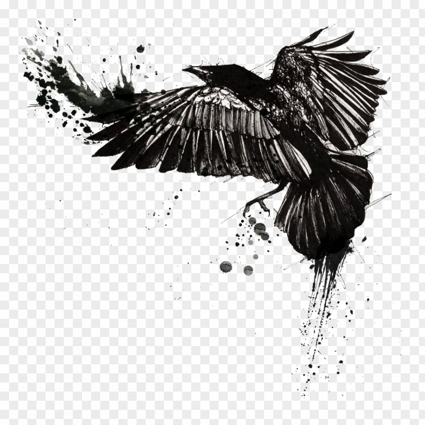 Raven Tattoo Common Trash Polka Crow PNG