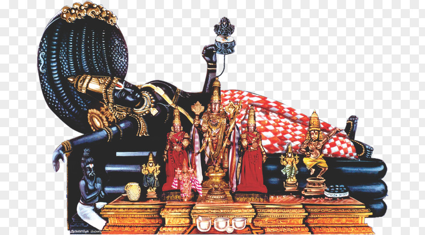 Skin Diseases Rama Vishnu Arulmigu Vaidhya Veeraraghava Swamy Temple Amavasya Sita PNG