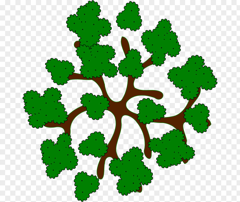 Tree Stock Photography Clip Art PNG