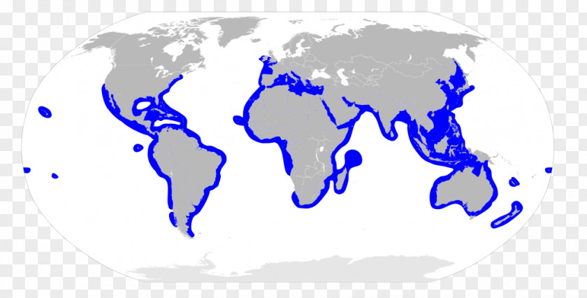 Globe World Map Shark PNG