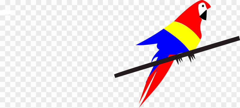 Macaw Bird Parrot Clip Art PNG