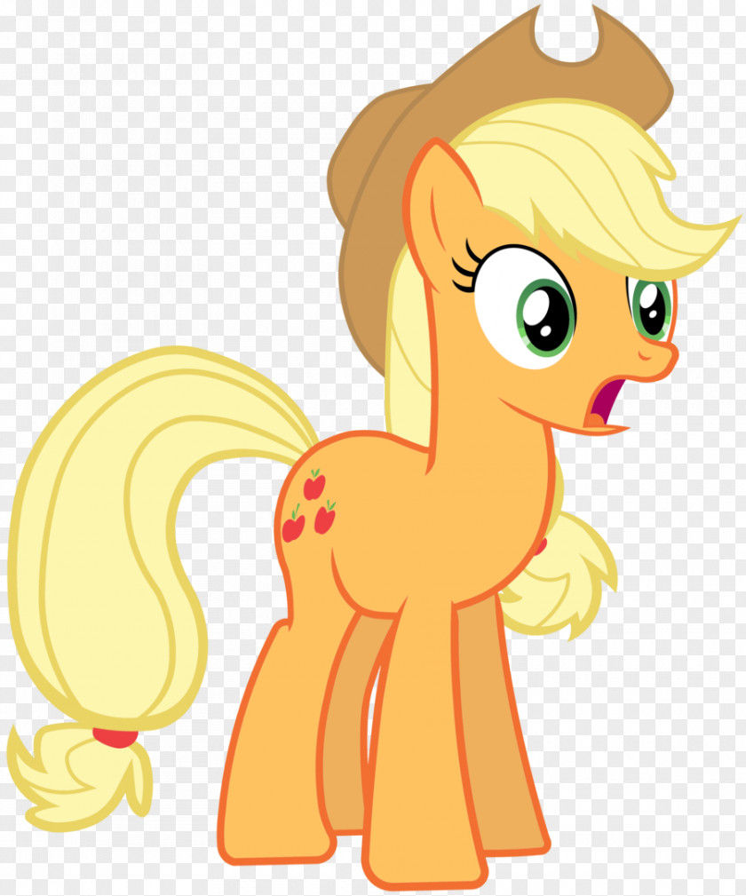 My Little Pony Applejack Derpy Hooves Rarity Rainbow Dash PNG