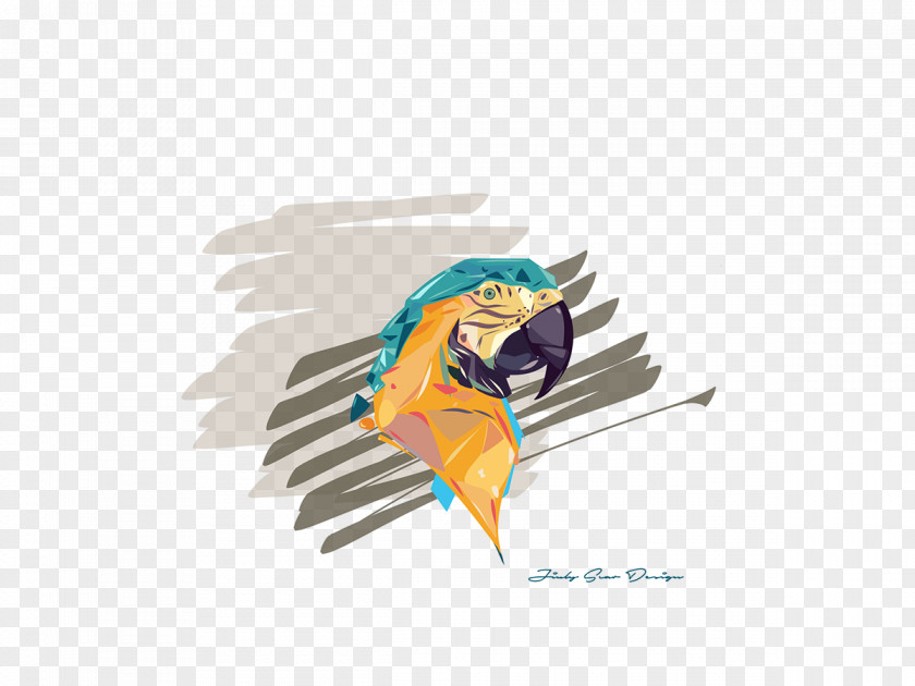 Parrot Vector Macaw Graphic Design Feather Beak PNG