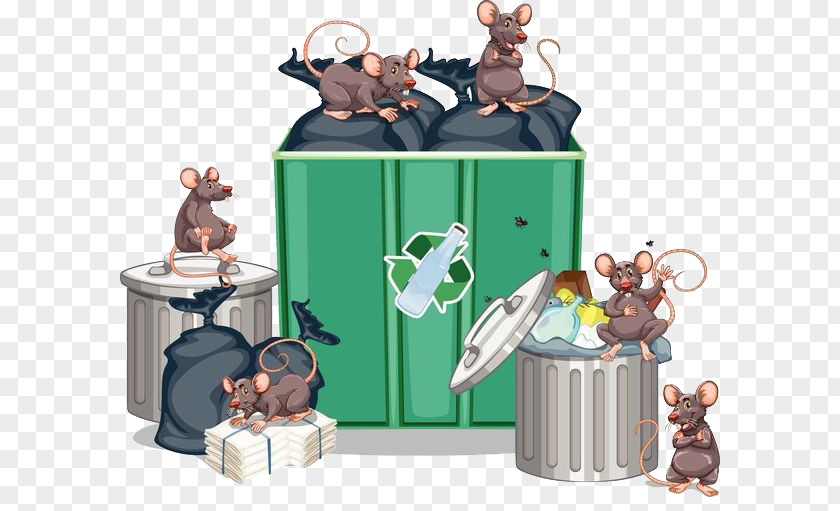 Rats Next To The Garbage Can Brown Rat Waste Container Stock Photography Illustration PNG