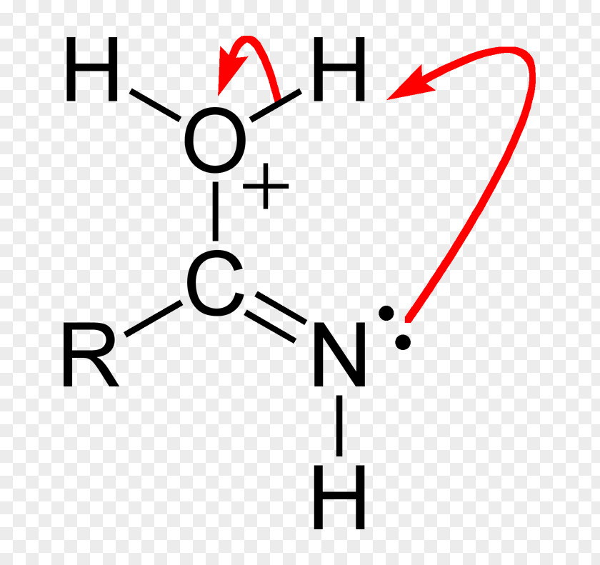 Steps Functional Group Acrolein Carbonyl Organic Compound Aldehyde PNG