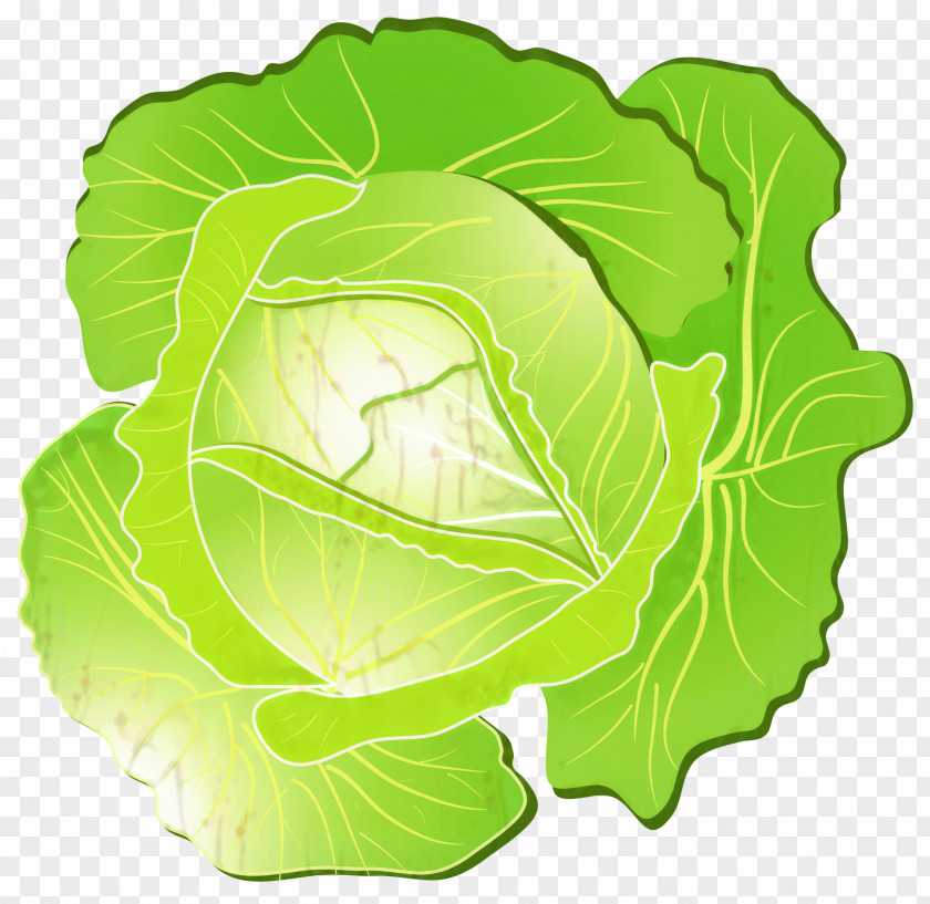 Brassica Food Green Leaf Background PNG