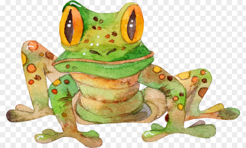 Frog True Toad Tree Painting PNG