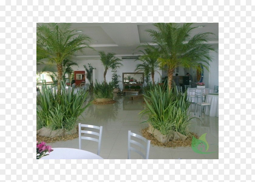 Garden Centre Arecaceae Canoas Center Flowerpot Houseplant PNG