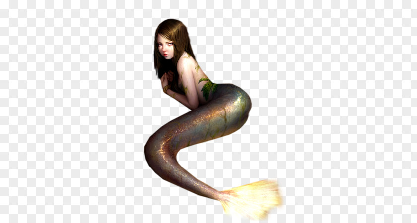 Mermaid Siren Ping Tail PNG