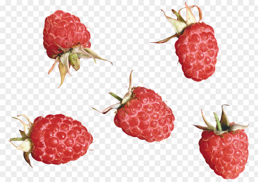 Strawberry Red Raspberry Tayberry Accessory Fruit PNG