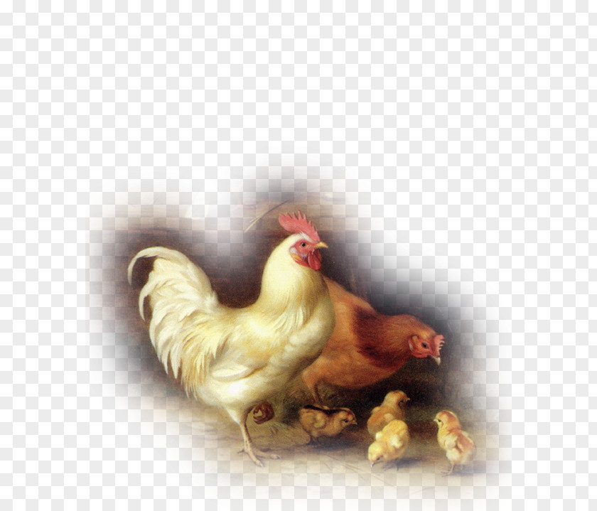 Chicken Rooster Oil Painting Artist PNG