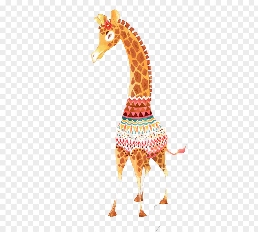 Color Giraffe Northern Illustration PNG