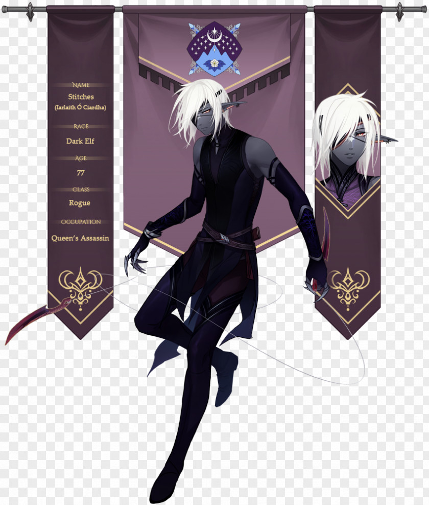 Dark Elf Assassin Costume Design Art Drawing PNG