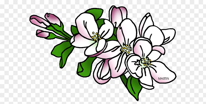 Flower Arkansas Floral Design U.S. State Clip Art PNG
