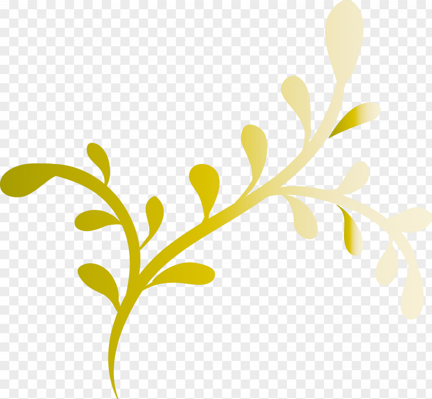 Leaf Plant Stem Twig Petal Tree PNG