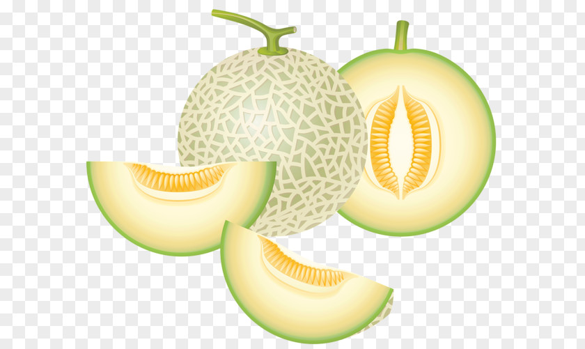 Melon Cantaloupe Honeydew Food Clip Art PNG