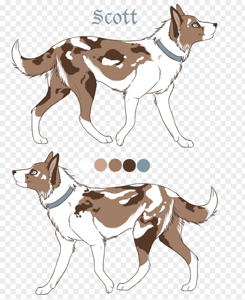 Sheep Breeders Dog Breed Drawing DeviantArt PNG