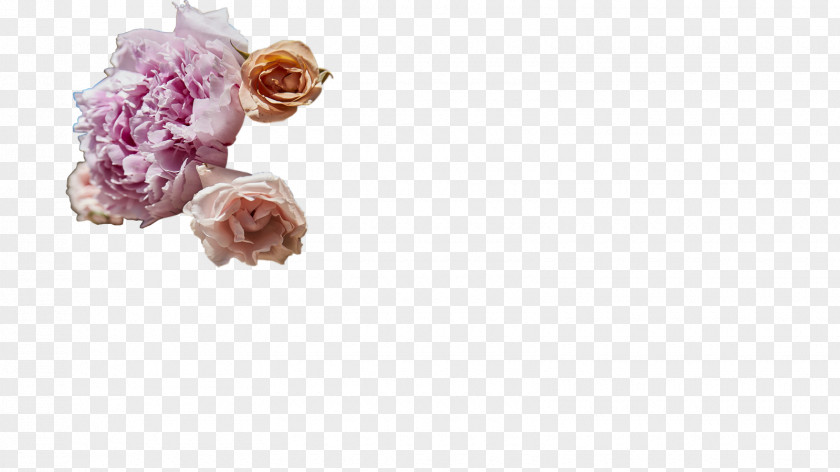 Cut Flowers Body Jewellery Petal Pink M PNG