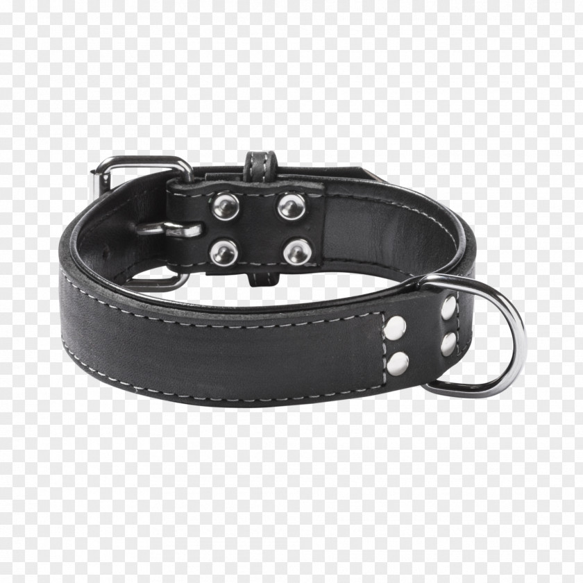 Dog Collar Black Leash PNG