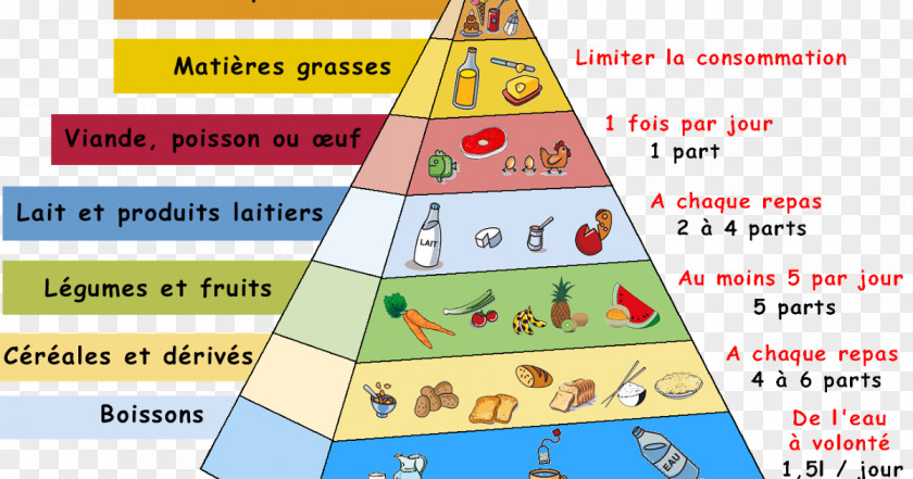 Group Of Food Pyramid Eating Nutrition Nutrient PNG