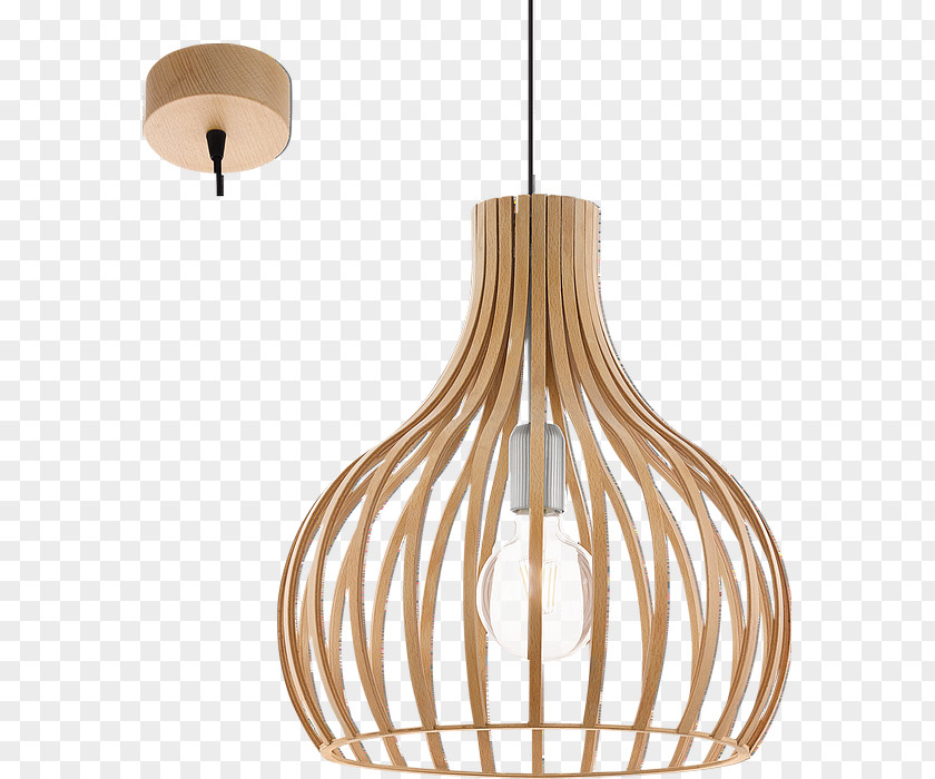 Light Pendant Lamp Fixture Natural Material PNG